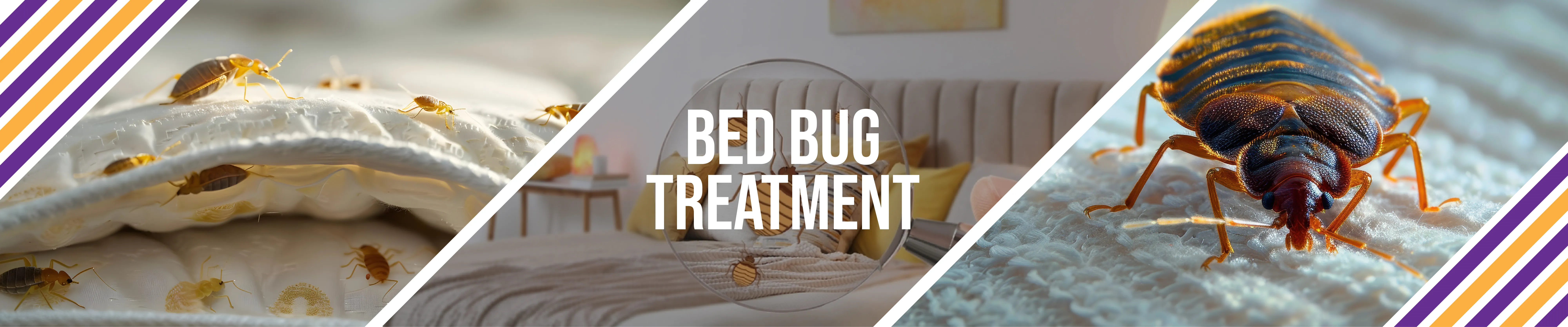 carpet cleaning, carpet cleaners, cleaning services, cleaning services in si, cleaning services in staten island, carpet cleaning in si, carpet cleaning in staten island, carpet cleaning si, carpet cleaners in si, carpet cleaners in staten island, carpet cleaning services, si carpet cleaning, si carpet cleaners, staten island carpet cleaning, staten island carpet cleaners, staten island carpet cleaning services, rug cleaning, rug cleaners, si rug cleaning, si rug cleaners, rug cleaning in si, rug cleaners in si, commercial carpet cleaning, commercial carpet cleaning in si, si commercial carpet cleaning, upholstery cleaning, upholstery cleaning si, upholstery cleaners in si, si upholstery cleaning, si upholstery cleaners, bed bug treatment, bed bug treatment si, si bed bug treatment, stain removal, stain removal si