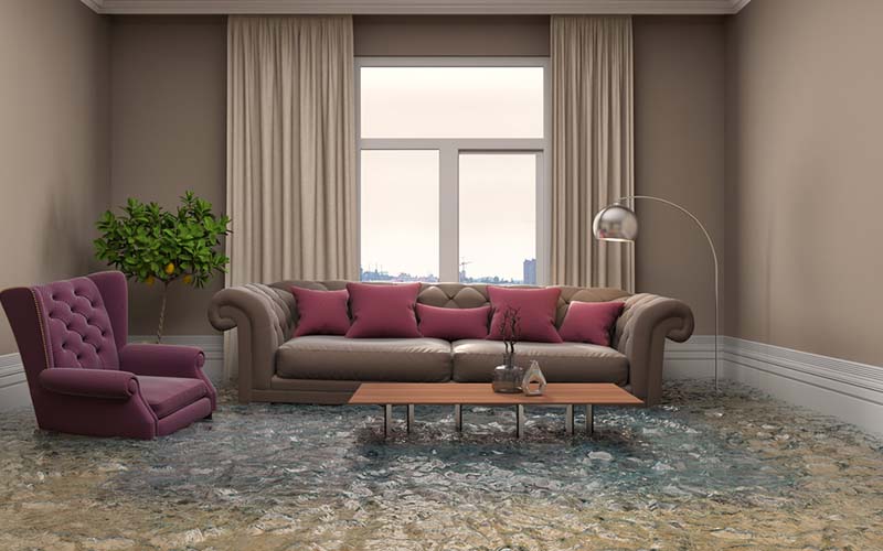 carpet cleaning, carpet cleaners, cleaning services, cleaning services in si, cleaning services in staten island, carpet cleaning in si, carpet cleaning in staten island, carpet cleaning si, carpet cleaners in si, carpet cleaners in staten island, carpet cleaning services, si carpet cleaning, si carpet cleaners, staten island carpet cleaning, staten island carpet cleaners, staten island carpet cleaning services, rug cleaning, rug cleaners, si rug cleaning, si rug cleaners, rug cleaning in si, rug cleaners in si, commercial carpet cleaning, commercial carpet cleaning in si, si commercial carpet cleaning, upholstery cleaning, upholstery cleaning si, upholstery cleaners in si, si upholstery cleaning, si upholstery cleaners, bed bug treatment, bed bug treatment si, si bed bug treatment, stain removal, stain removal si